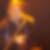 Photo de profil de Daniel Matignon