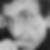 Photo de profil de Jean-Marie Moës