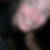 Photo de profil de Jessica Arnal
