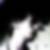 Photo de profil de Fabian Le Carof