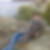 Photo de profil de Fatma Cherifi