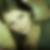 Photo de profil de Sarah Fallourd