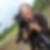 Photo de profil de Brigitte Guignan