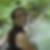 Photo de profil de Claire Loire