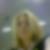 Photo de profil de Sandrine Alibert