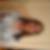 Photo de profil de Beatrice Souty