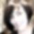 Photo de profil de Salmeron Fabienne