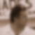 Photo de profil de Jean Francois Reverdy