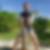 Photo de profil de Patrick Roussiere