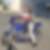 Photo de profil de Stephane Asensio