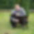 Photo de profil de Frederic Sendron