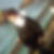 Photo de profil de Sofy Cruzol