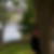 Photo de profil de Angélique Vigneron