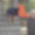 Photo de profil de Frederic Lara