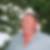 Photo de profil de Andre Rayrolles