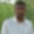 Photo de profil de Sébastien Bias