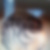 Photo de profil de Rosine Pops