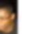 Photo de profil de Patrice Gond