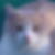 Photo de profil de Raoul Chat