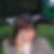 Photo de profil de Carmen Georget