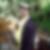 Photo de profil de Fabien Rachel
