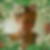 Photo de profil de Isabelle Costa Lemos