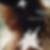 Photo de profil de Nasty Mars