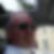 Photo de profil de Alain Bernet