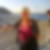 Photo de profil de Brigitte Desmarets