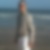 Photo de profil de Charles Gutowski