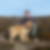 Photo de profil de Christophe Berthault