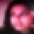 Photo de profil de Nora Kappert