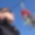 Photo de profil de Matthieu Patey