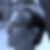 Photo de profil de Albert Chatelain