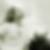 Photo de profil de Franck Morel