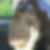 Photo de profil de Martine Quilici
