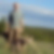 Photo de profil de Emmanuel Biardeau