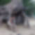 Photo de profil de Quintard Alexandre