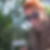 Photo de profil de Virginie Saysset