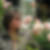 Photo de profil de Caroline Charpin