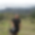 Photo de profil de Eric Couchoud