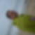 Photo de profil de Elie Bertrand