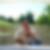 Photo de profil de Francois Guitton