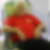 Photo de profil de Charles Herbst