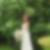 Photo de profil de Sonia Afonso