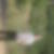 Photo de profil de Alexandre Faudrin