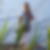Photo de profil de Corine Guironnet