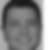 Photo de profil de Edson Martinod