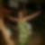 Photo de profil de Chantal Boye