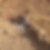 Photo de profil de Daniel Chastaingt